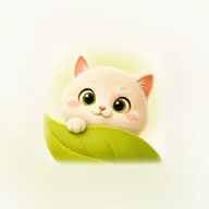 ������APP