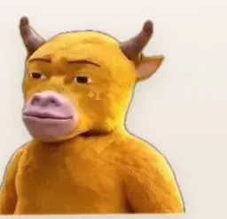ţ���һ�����