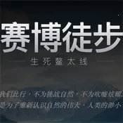 ����ͽ��2026�ٷ�����