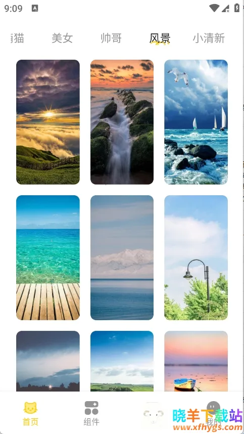 萌巨壁纸2026最新版本 萌巨壁纸2026最新版本