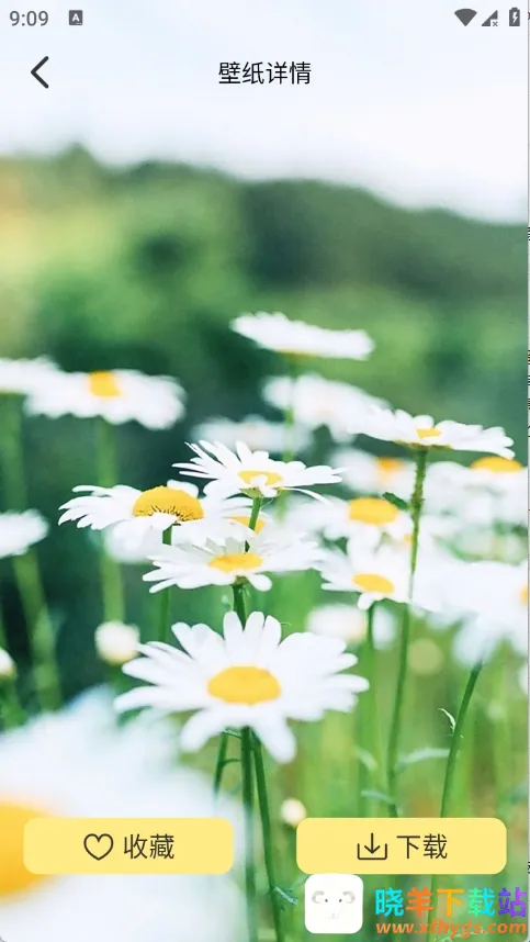 萌巨壁纸2026最新版本 萌巨壁纸2026最新版本