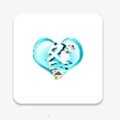 �������2026���ذ�װ