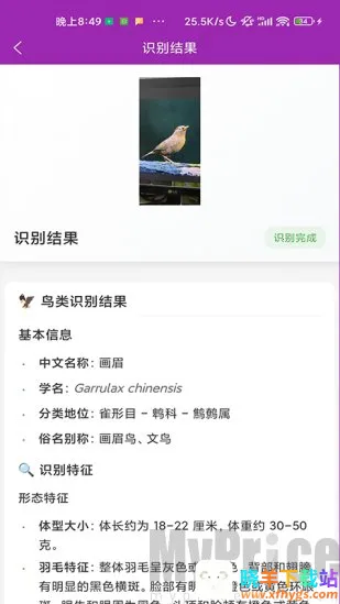 ʶ��(����ʶ�𹤾�)