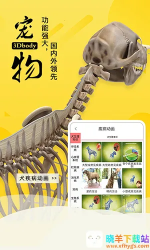 3dbody宠物版免费 3dbody宠物版免费