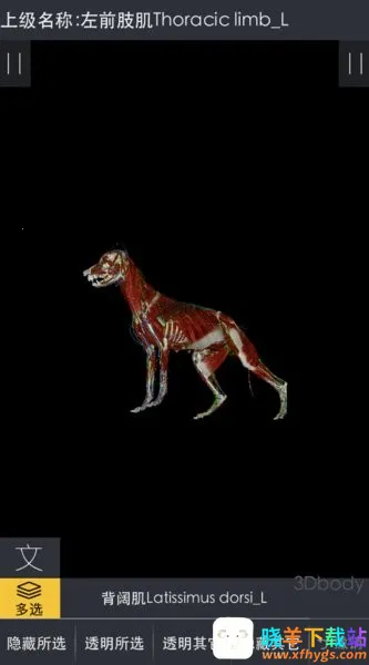 3dbody宠物版免费 3dbody宠物版免费