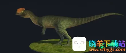 �̹Ŵ�½ԭʼʱ�����İ�����