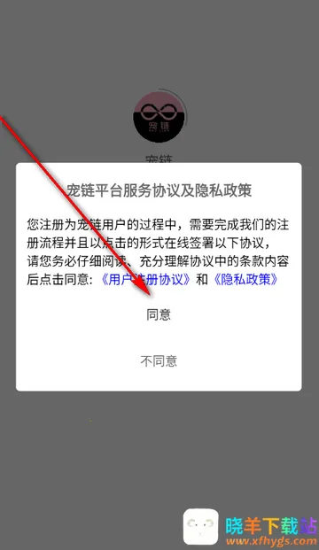 宠链宠物2026官方正版 宠链宠物2026官方正版