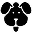 ��������������2026�ٷ�����