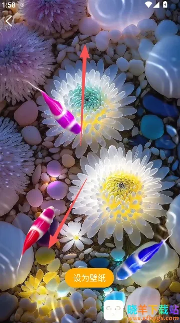 ��������ֽ�����ֻ���