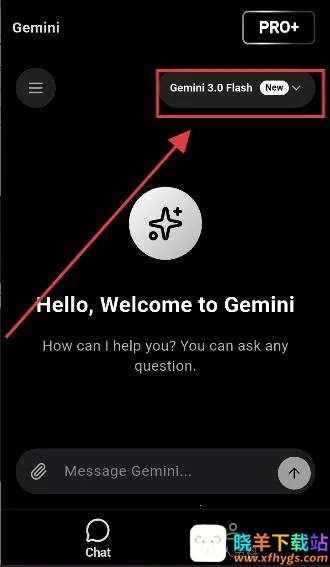 GeminiPro(智能AI助手) GeminiPro(智能AI助手)