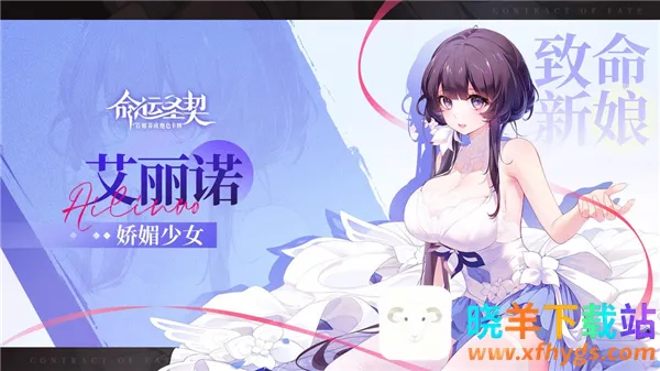 命运圣契2026官方正版 命运圣契2026官方正版