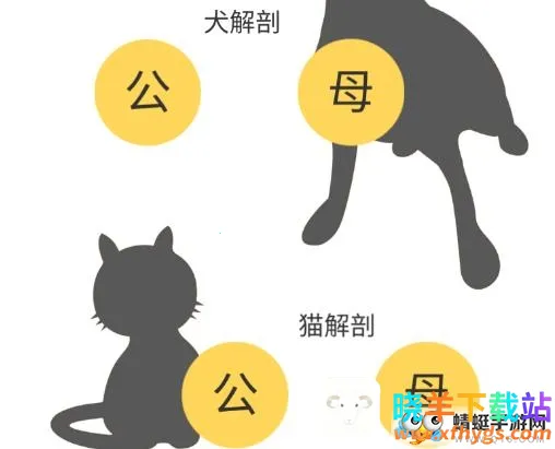 3dbody�������İ�