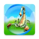 ����������Ҷ�(���������Ϸ)