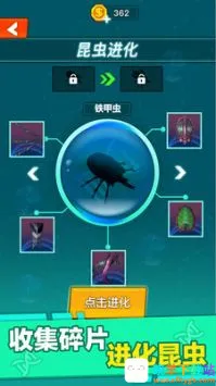 昆虫进化大乱斗(昆虫进化游戏) 昆虫进化大乱斗(昆虫进化游戏)