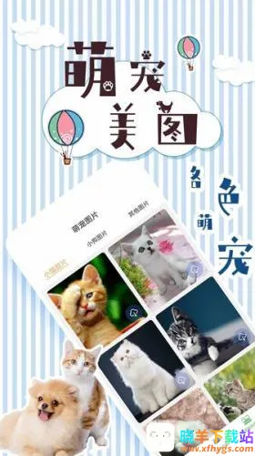 人猫翻译交流器2026官方最新版本 人猫翻译交流器2026官方最新版本