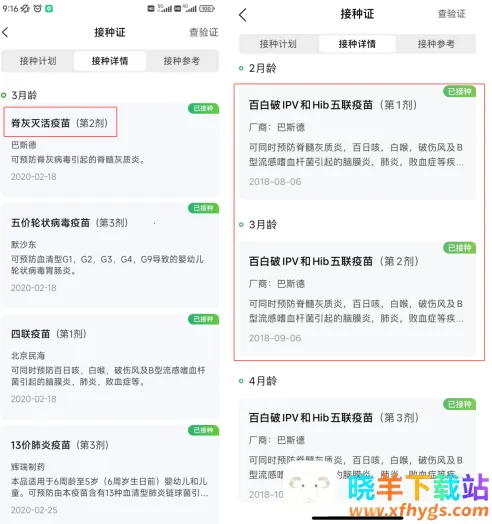 С������������2026�ٷ�����