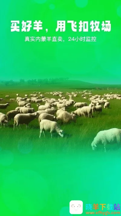 �ɿ�2026���°汾