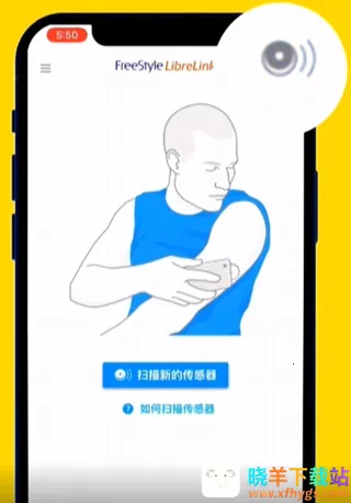 ˲�б�(Ѫ�Ǽ������)