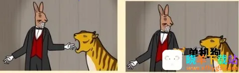 兔子先生 第6张图