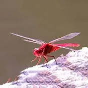 �����ѵ��Ӻ��Ӱ�׿���ֻ���