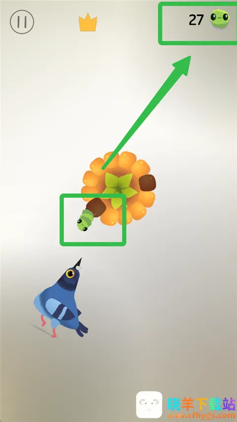 pigeon疯狂的鸽子 pigeon疯狂的鸽子