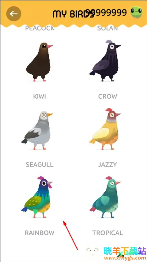 pigeon疯狂的鸽子 pigeon疯狂的鸽子