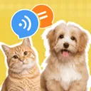 Ӧ��ͼ��