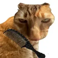 Ӧ��ͼ��