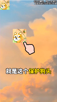 保护狗头最新手机版 保护狗头最新手机版