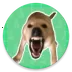 Ӧ��ͼ��
