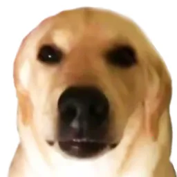 Ӧ��ͼ��