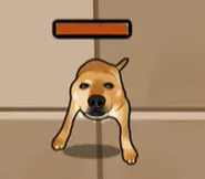 Ӧ��ͼ��