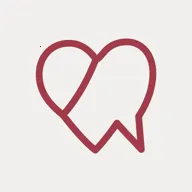 ����APP